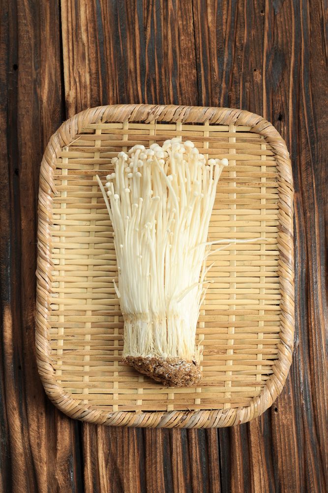 Fresh Golden Needle Mushroom or Enoki, Enokitake (Flammulina Velutipes)