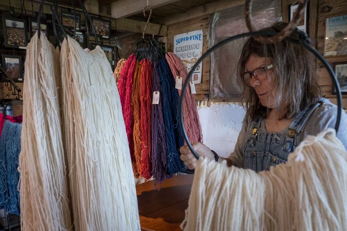 Farmer with glasses prepares wool for sale from her sheep
