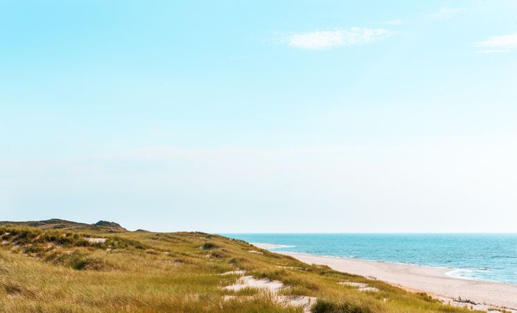 Nature scenery on Sylt island with the long beach, the marram grass dunes and the North Sea