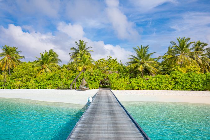 Walkway leading to a beautiful beach with palm trees