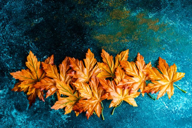 Teal background with orange autumn leaves