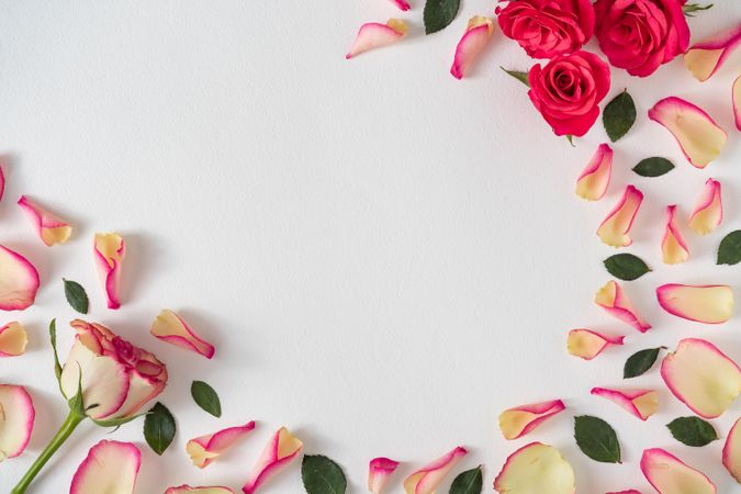 Creative layout made with rose petals and leaves