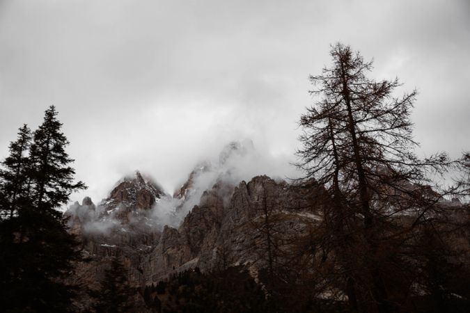 Big mountains near pine forest on cloudy weather