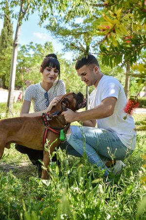 Couple with their dog Boxer sitting in a park .