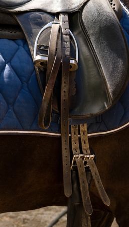 Saddled horse standing in a stable.
