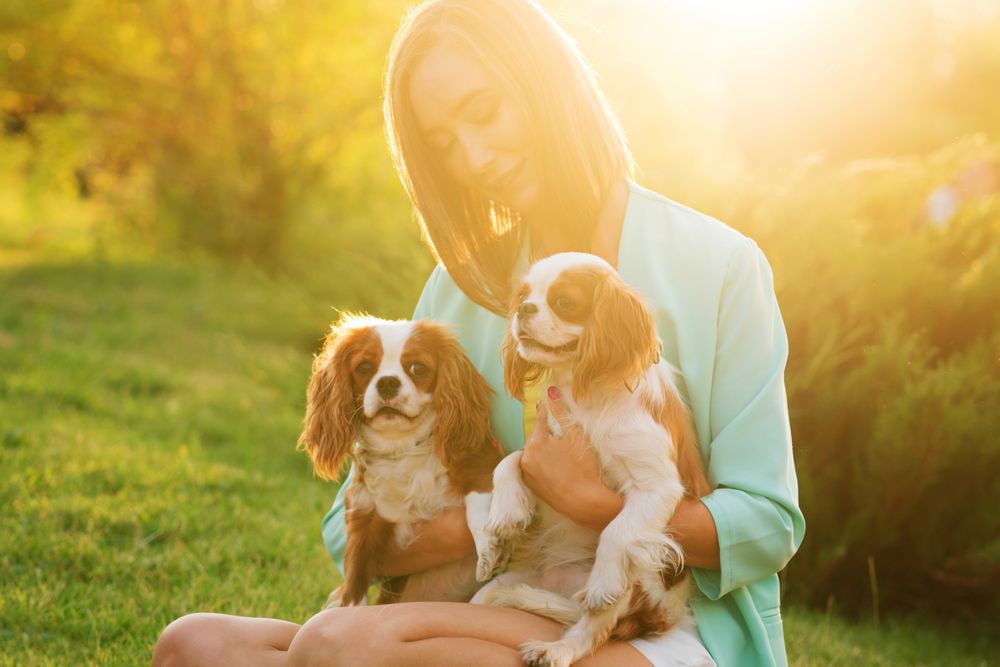 Breeder on walk with two dogs