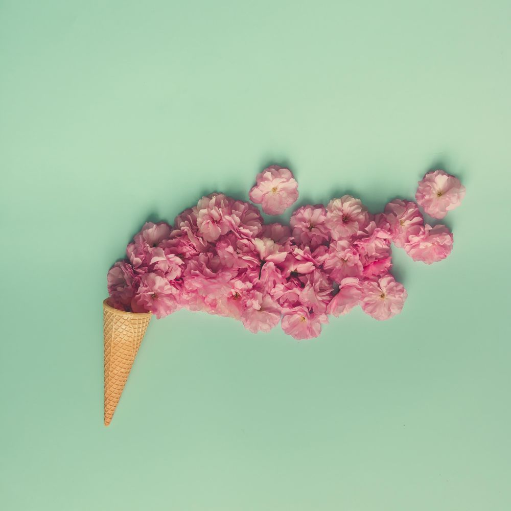 Ice cream cone with pink flowers and leaves