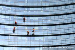People cleaning windows of a skyscraper 4Z7Dxb
