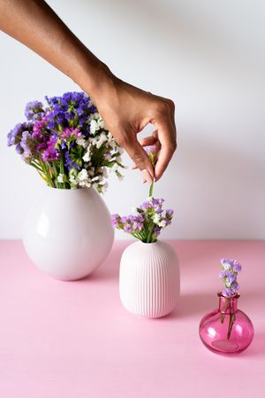 Hand fixing a bouquet of sea lavender flowers