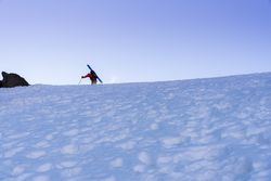 Tourist gazing at breathtaking snowy mountain slope