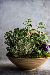 Easter floral composition in modern pot