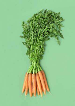 Carrots bundle isolated on a green background