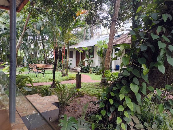 cozy cottage surrounded by greenery in kochi