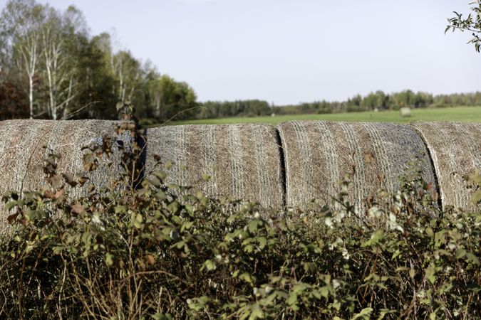 Hay rolls with a US flag wrap in Aitkin County, Minnesota