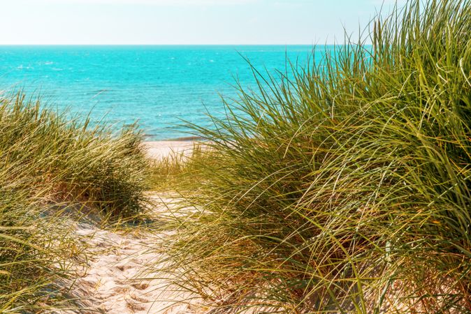 Sylt island marram grass dunes and the North Sea at horizon