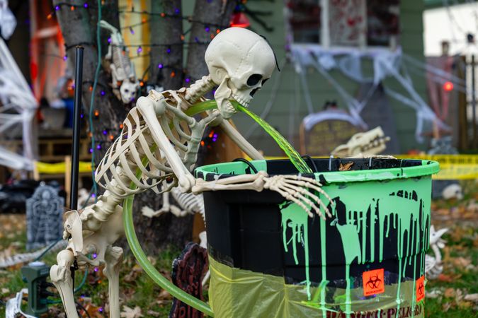 Skeleton halloween decorations