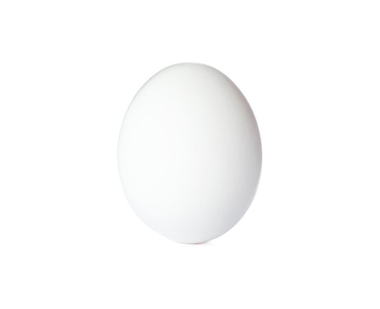 chicken egg isolated on blank background