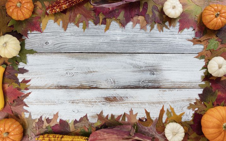 Autumn seasonal foliage and decorations for seasonal holidays on rustic wooden boards