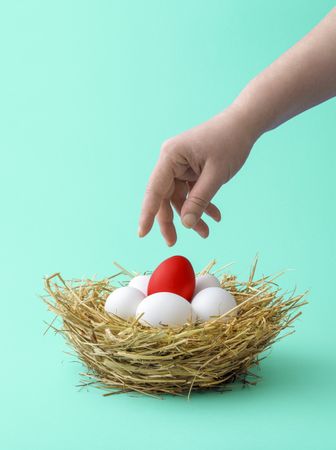 Hand taking red easter egg in straw nest isolated on green background