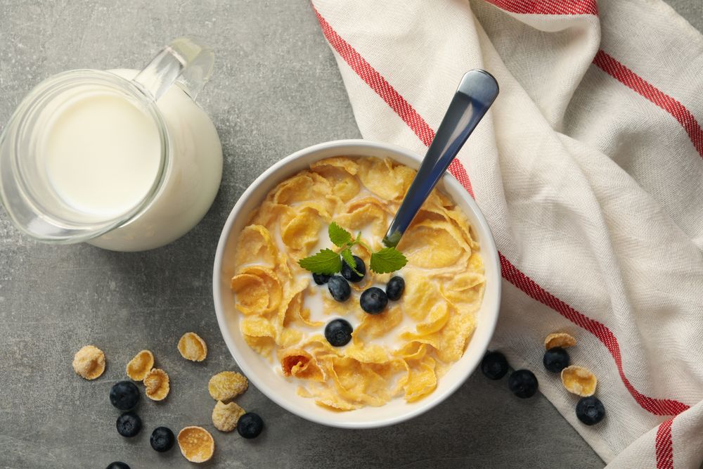 Concept of breakfast with muesli, milk and blueberry on gray table