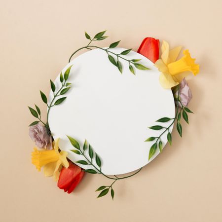 Spring leaves and flowers with  circle copy space