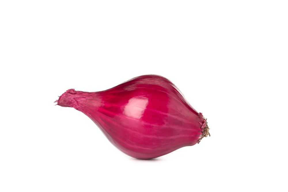 Fresh red onion isolated on blank background