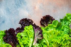 Colorful fresh leafy lettuc on counter