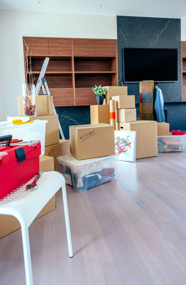 Living room with moving boxes