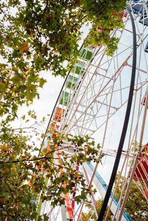 Ferris wheel in amusement park