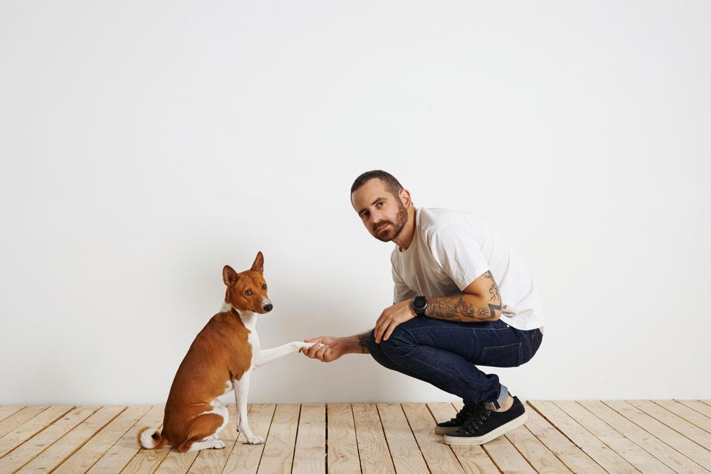 Man and dog shake hands looking at camera
