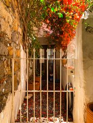 Patmian gate under bougainvillea