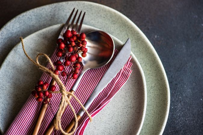 Autumnal table setting with wild red berries