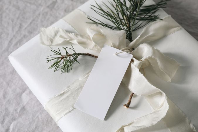 Gift with blank tag and pine branch
