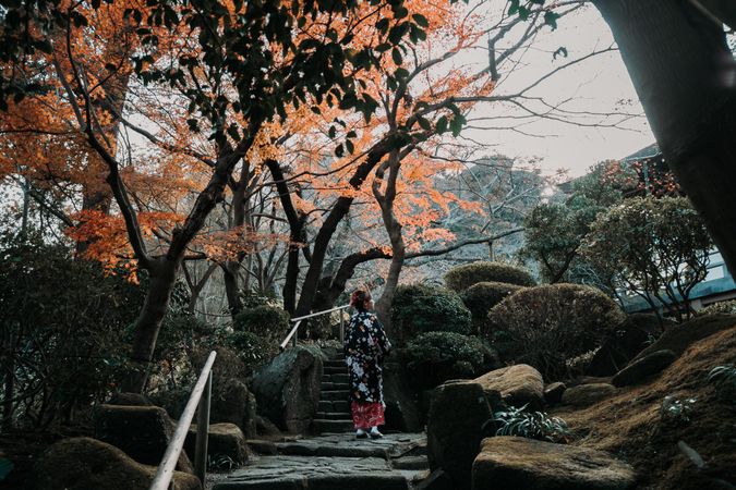 Back view of a woman in kimono beside yellow tree