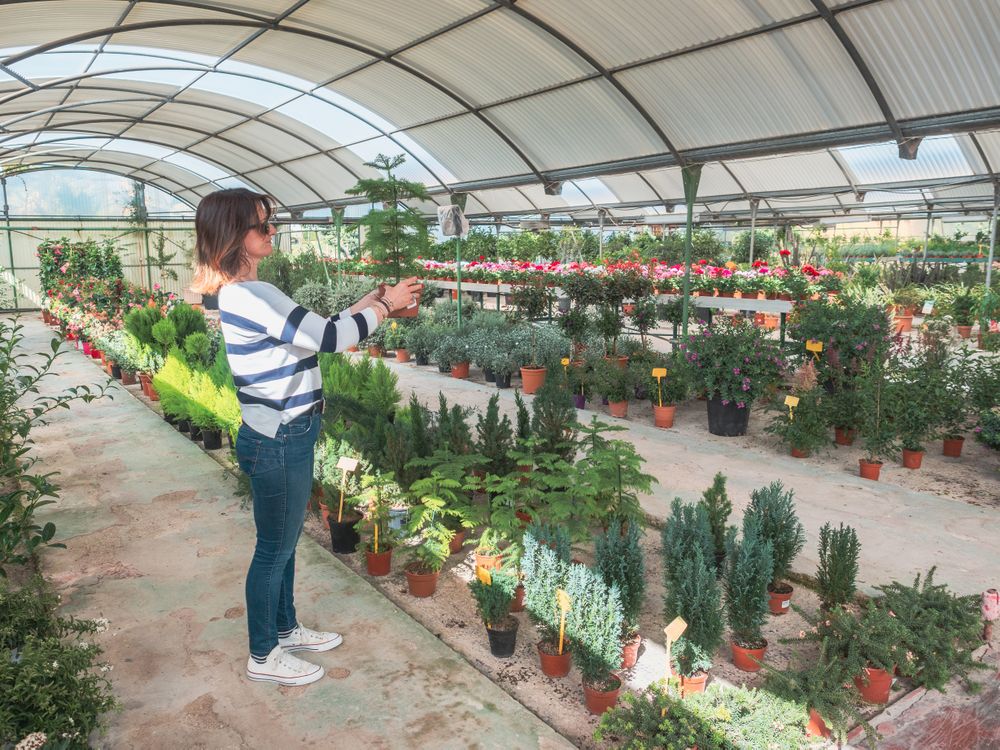 Female studying flowers in greenhouse