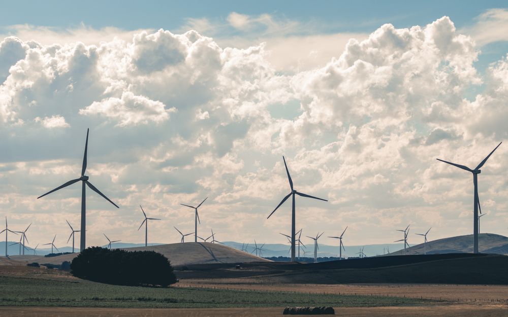Wind turbine field during daytime
