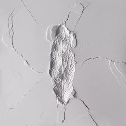 Powder texture with impression of leaf