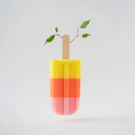 Colorful popsicle ice cream with green leaves growing
