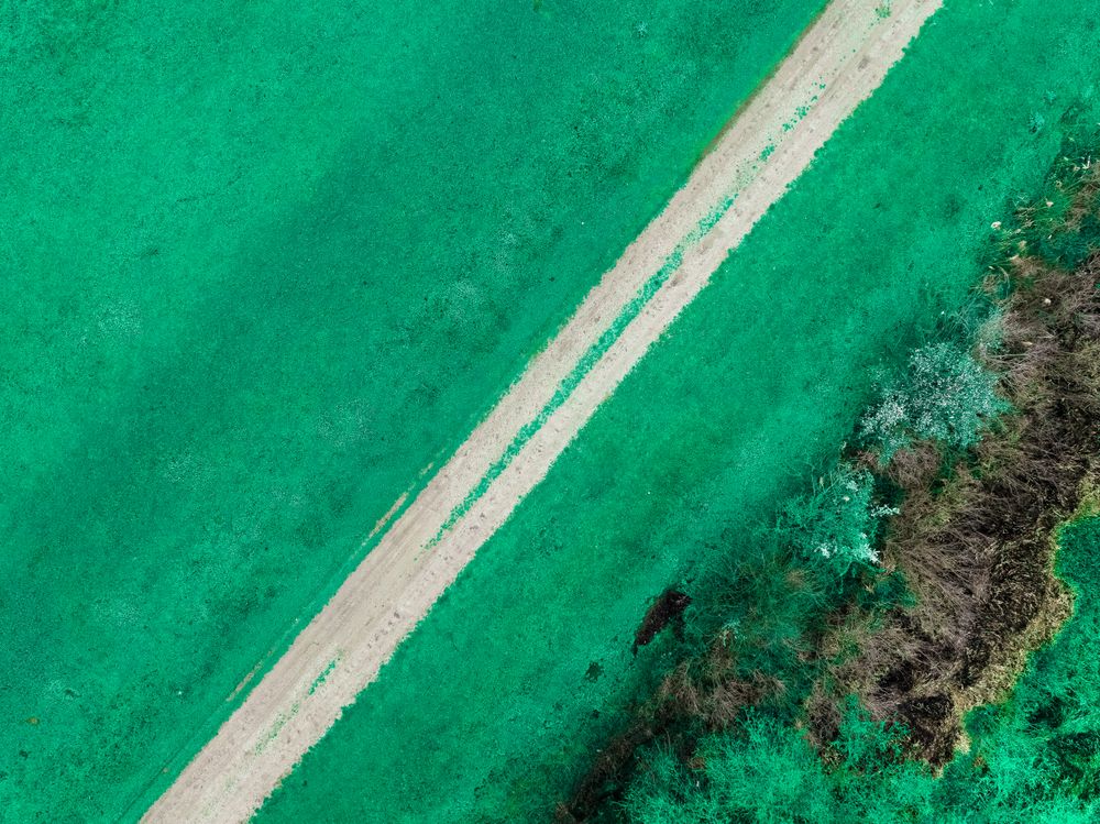 Aerial view of a minimal eco-friendly landscape on Earth Day