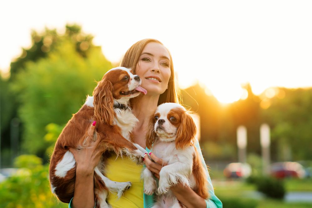 Breeder on walk with two dogs