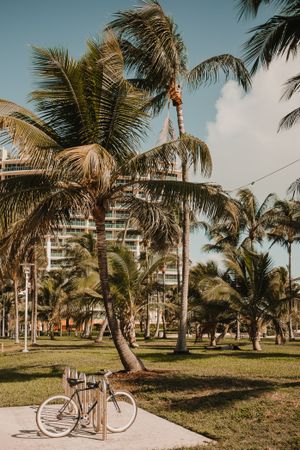 Vintage bicycle close Palms against cloudy sky in city