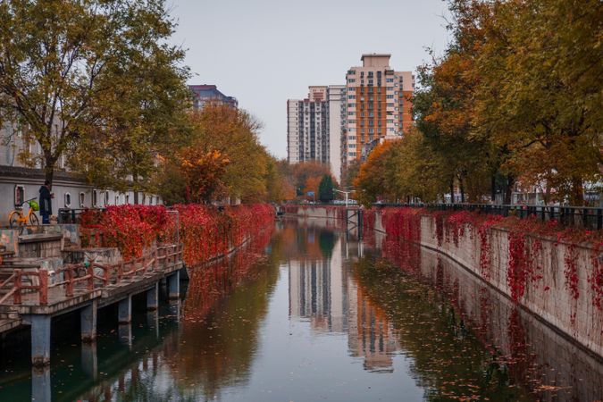 Canal surrounded by red leaves