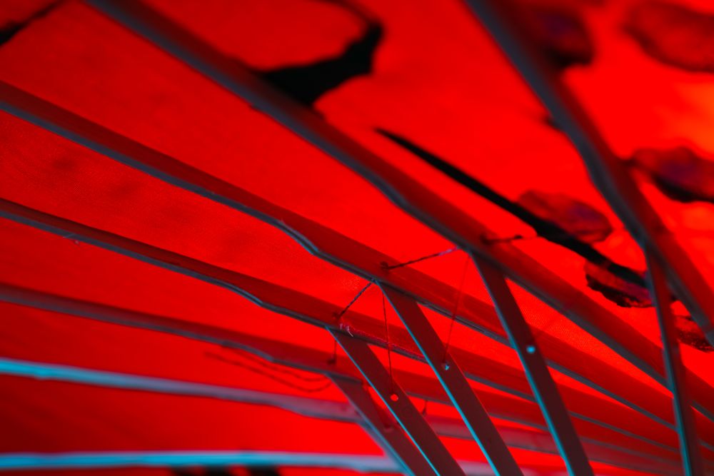 Traditional japanese umbrella, traditional japanese accessories concept