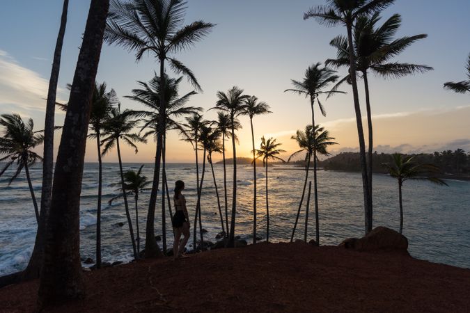 Tranquil female traveler among palms at seashore
