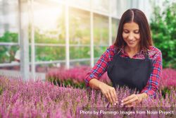 Smiling woman working with purple flowers in a greenhouse 5okly5
