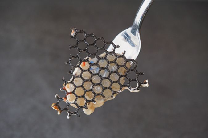 Delicious squid carpaccio with elegant squid ink grating