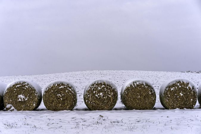 Hay in a snowy field on a winter day