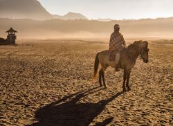 Java Island, Indonesia - August, 14 2015: Anonymous person on horse near volcano