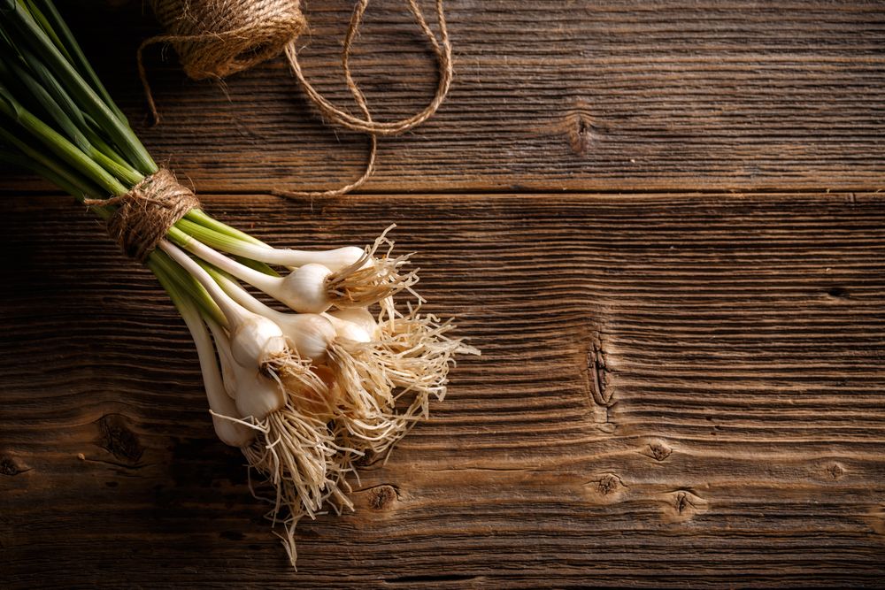 Young fresh spring onions