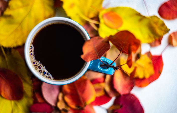 Top view of autumnal cup of coffee